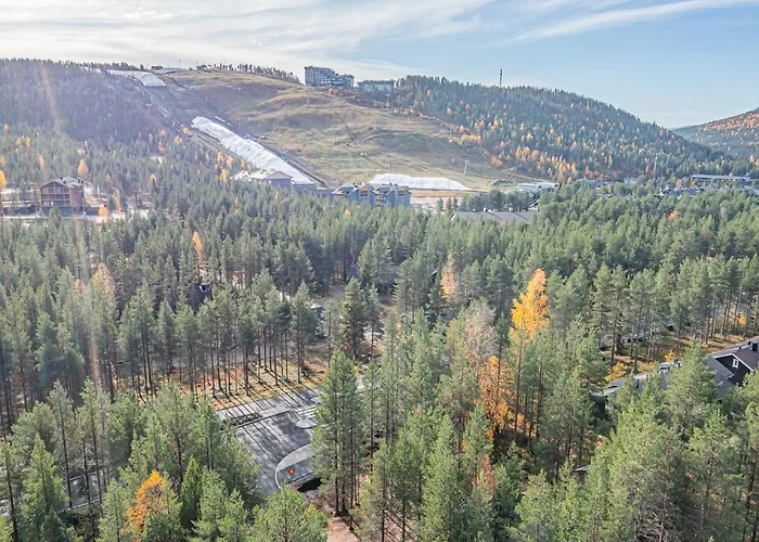 Levillas Sointuilevi 2a75 *